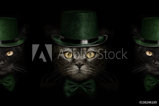 Bild på dark muzzle cat  in green hat and tie butterfly